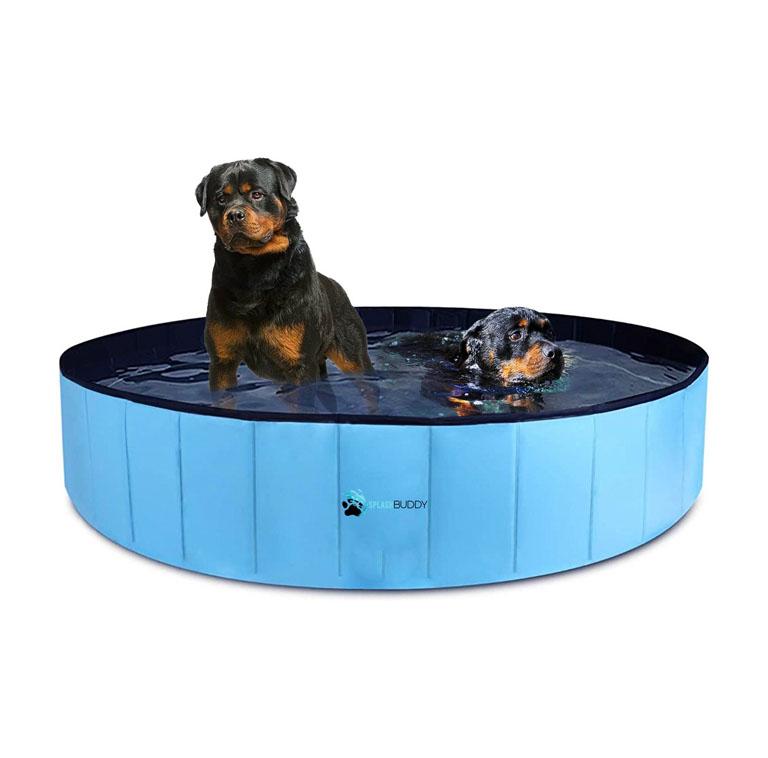 hondenzwembad-kopen